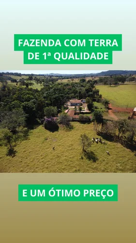 Fazenda com terra de 1ª qualidade ao lado de Goiânia com ótimo preço