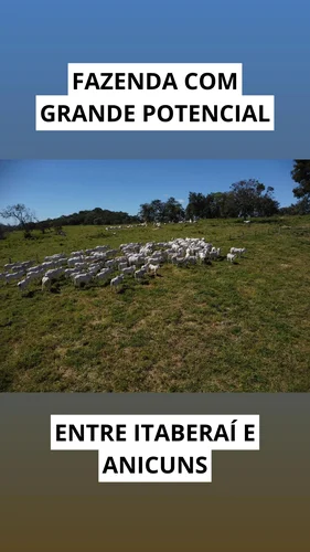 Fazenda com 12 alqueires próximo a Goiânia com ótimo preço