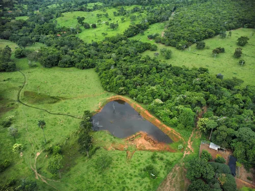 Fazenda em Silvânia com preço imbatível